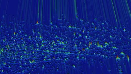 JPEG image